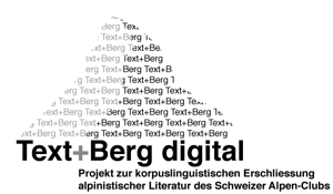 Text+Berg digital-Logo